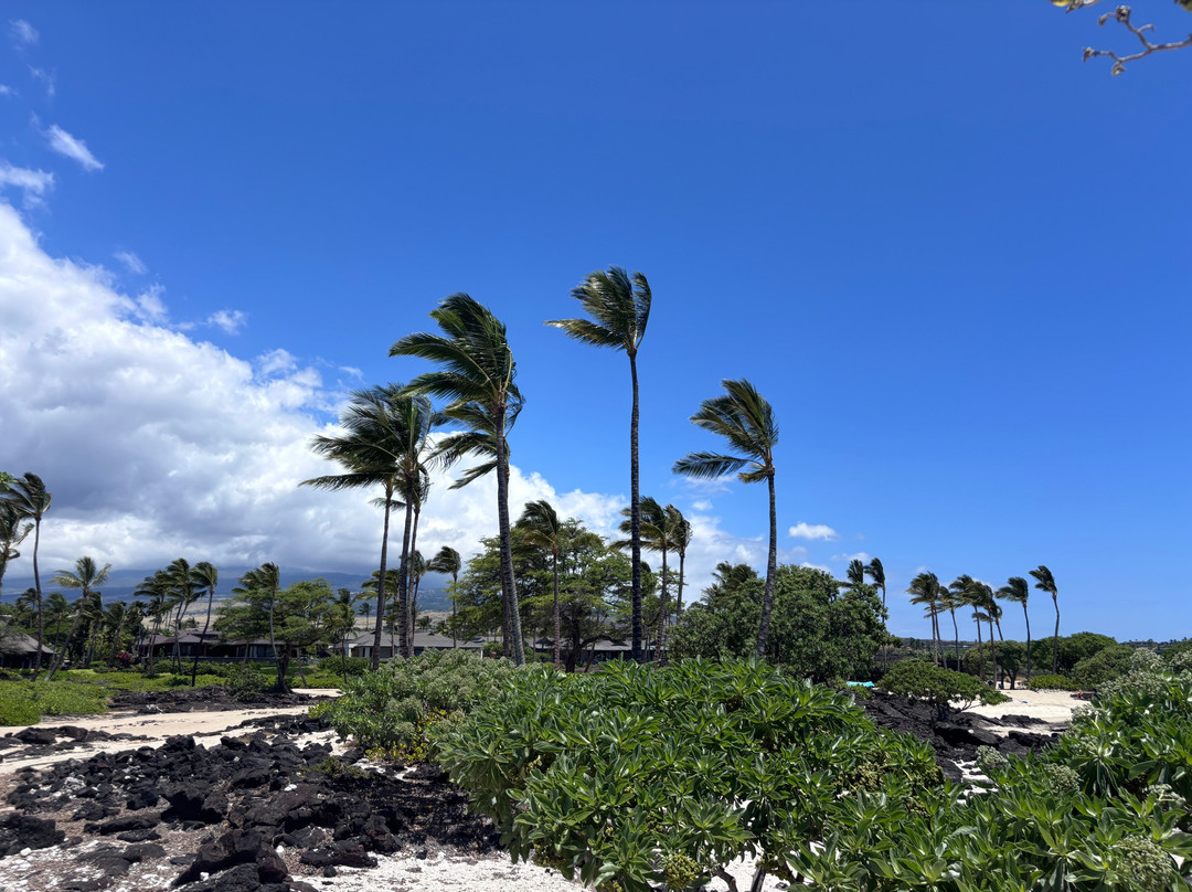 Kikaua Point Park-凯鲁瓦-柯纳必去景点