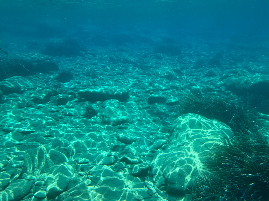 Meltemi Boat Tours, Watersports & Diving-Milopotas必去景点