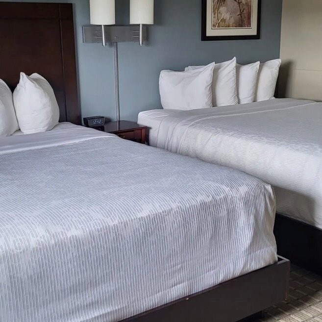 Chateau All Suites Hotel主图