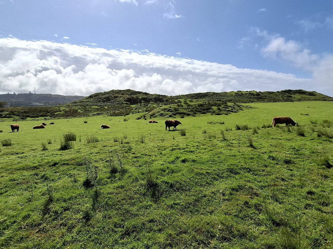 Isle of Kerrera-The Hebrides必去景点