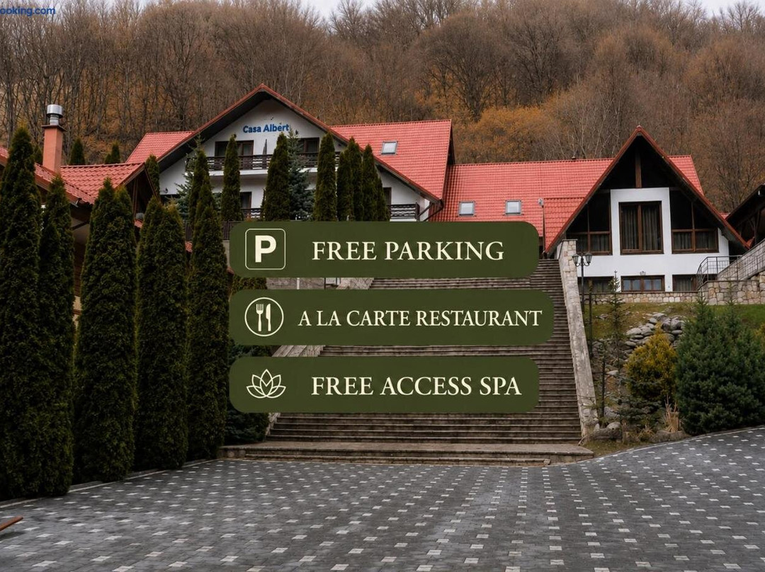 Albert Mountain Retreat & SPA
