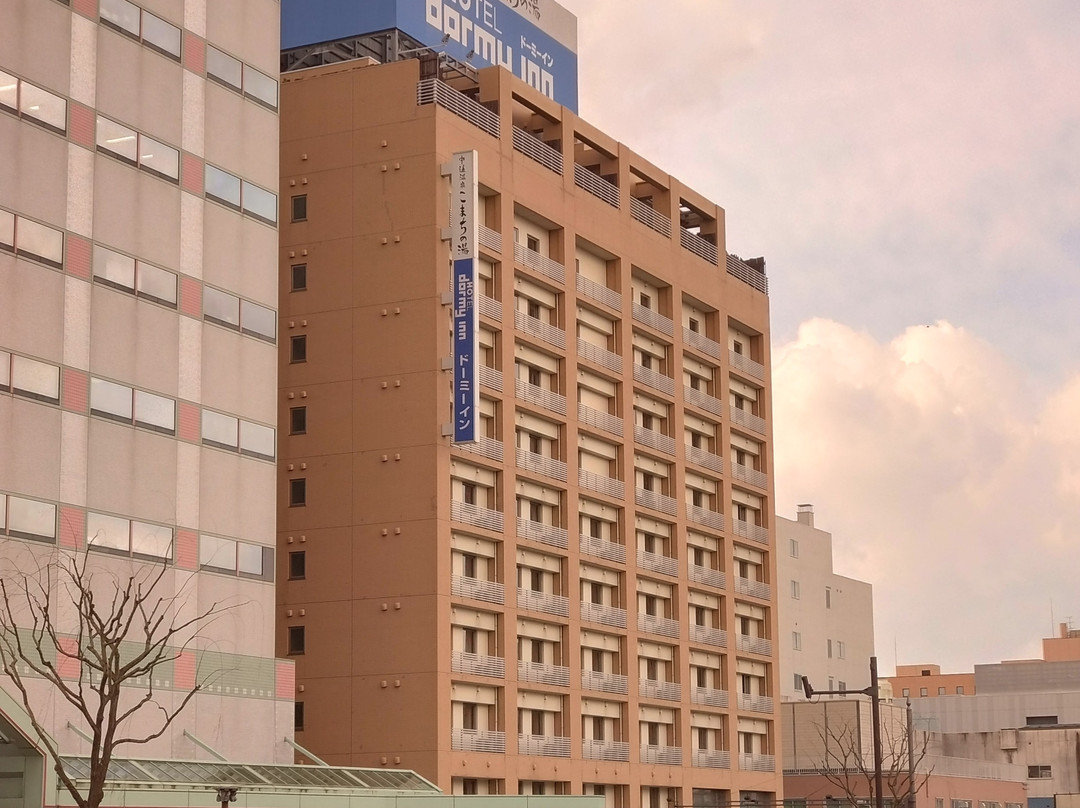 秋田市酒店住宿-秋田多米酒店