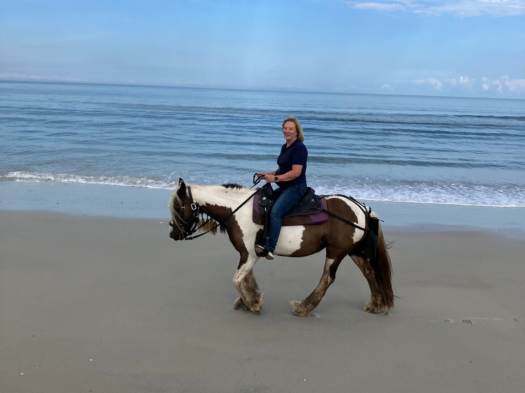 Amelia Island Horseback Riding-费尔南迪纳岛必去景点