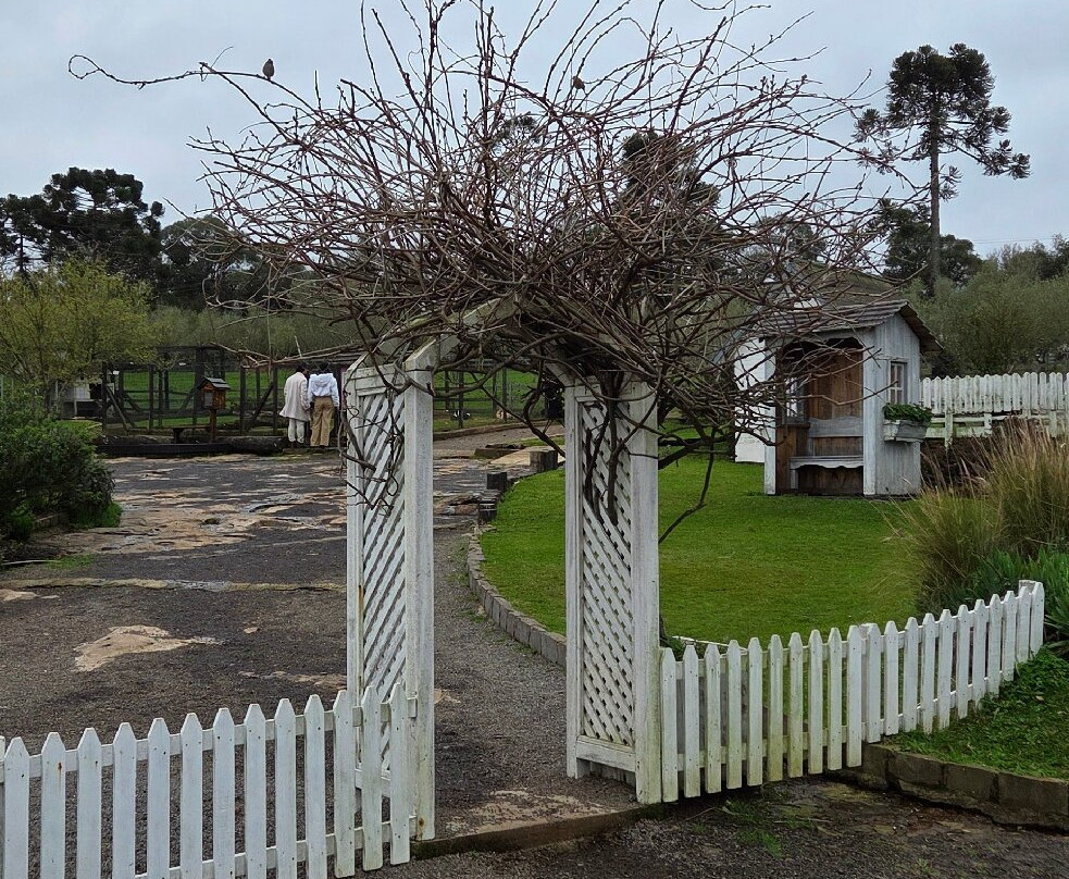 Parque Olivas de Gramado-格拉玛多必去景点