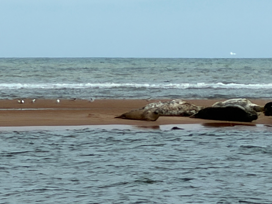 Newburgh Seals Beach-Newburgh必去景点