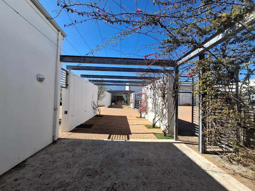 Morgenster Wine Farm and Olive Estate-西索美塞必去景点