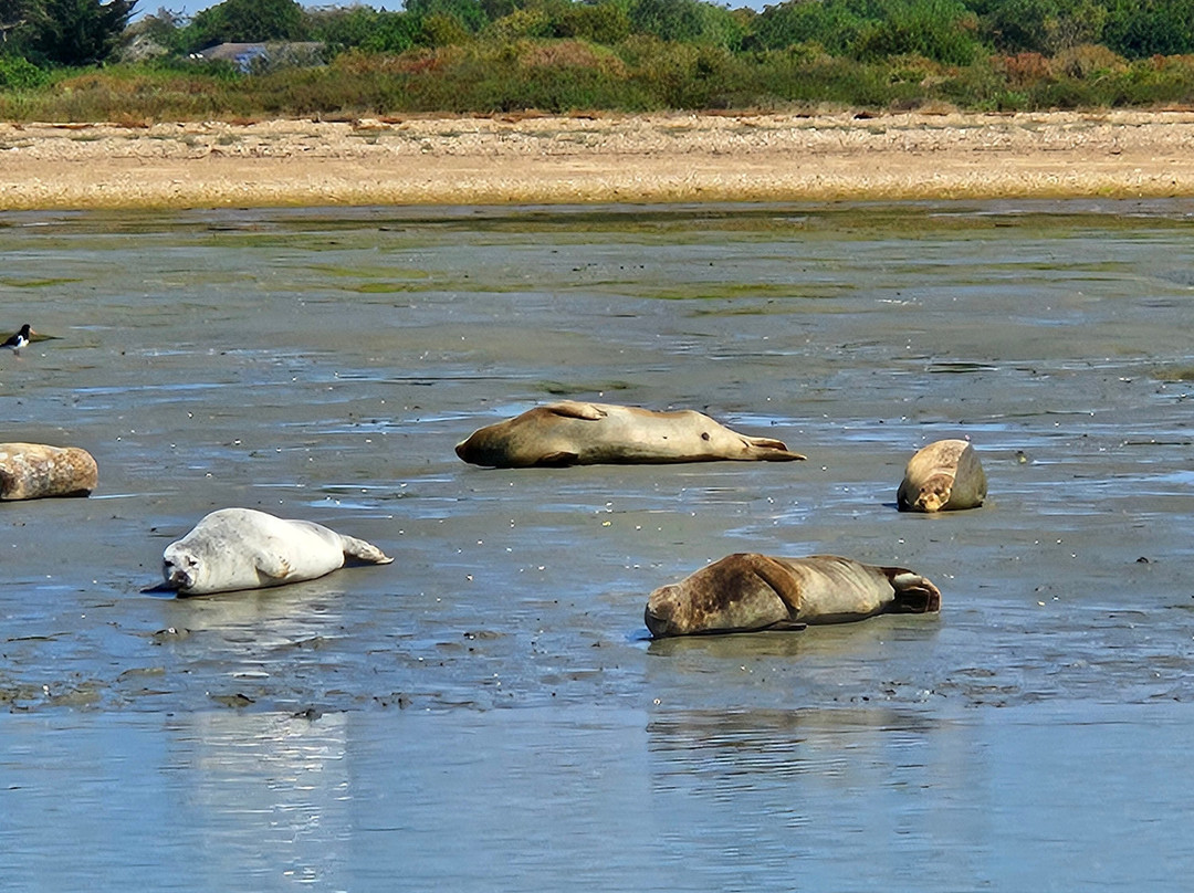 Chichester Harbour Water Tours-West Itchenor必去景点