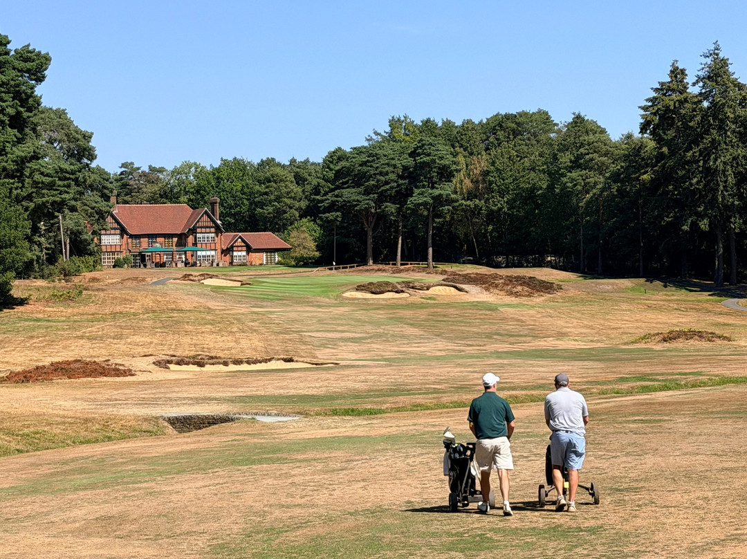 Swinley Forest Golf Club-Ascot必去景点