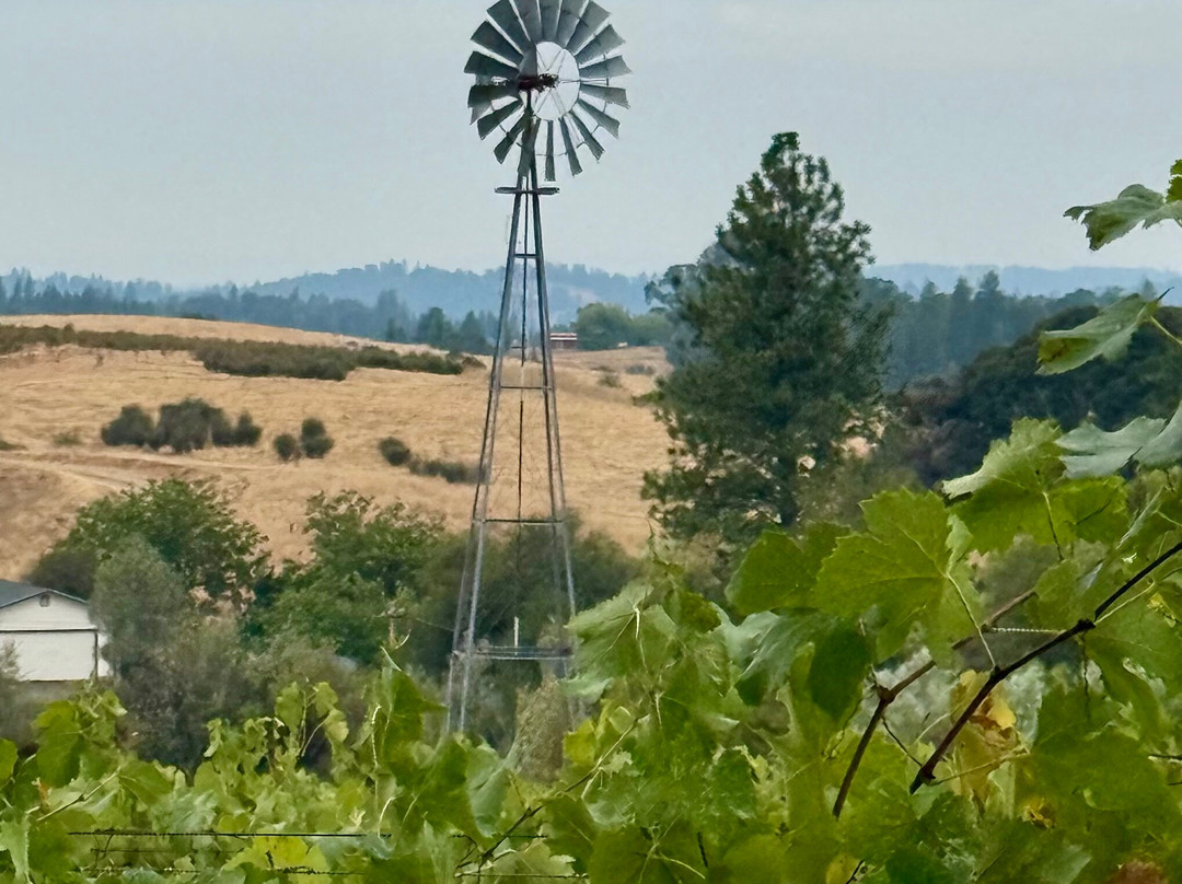 Element 79 Vineyards-Somerset必去景点