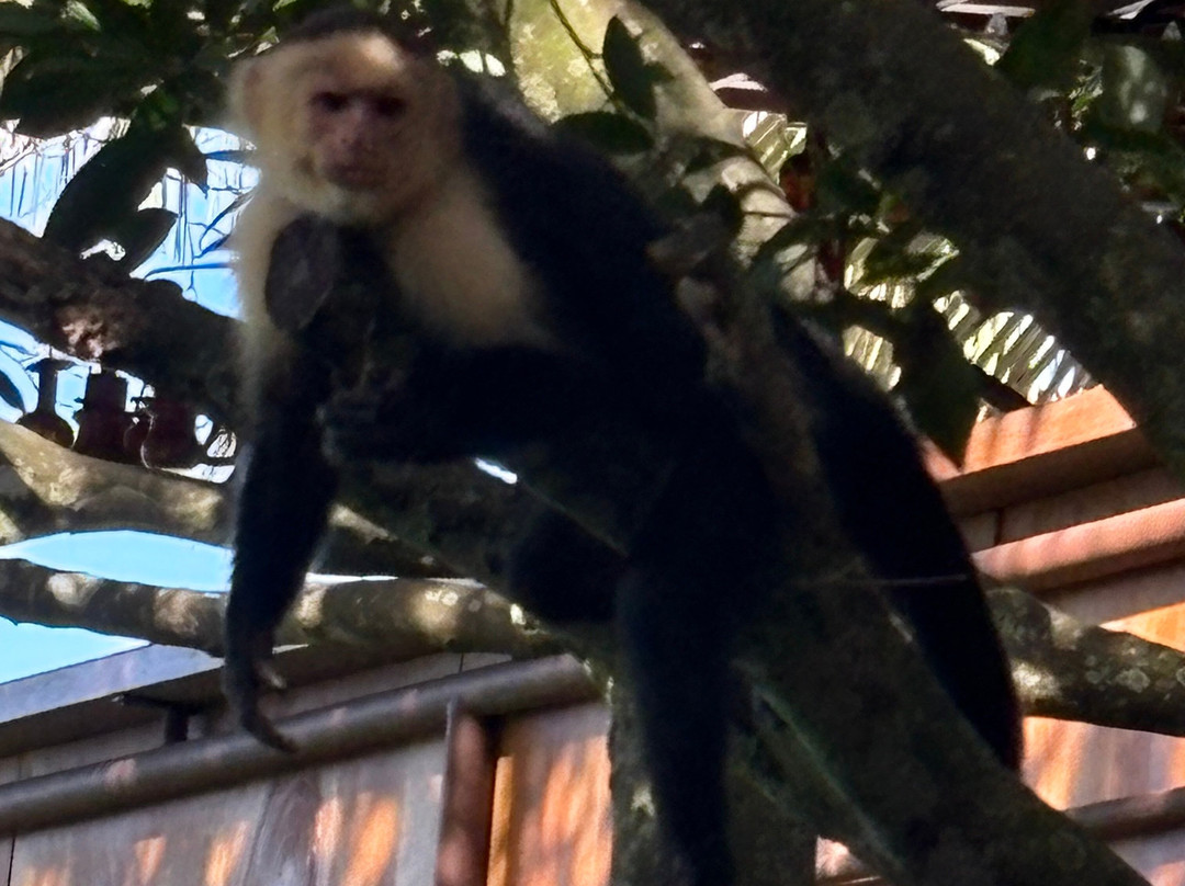 My Costa Rica-圣何塞必去景点