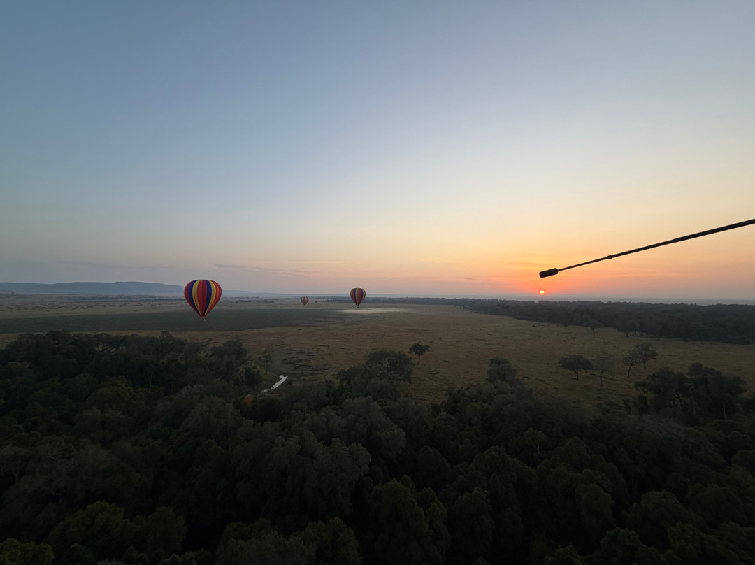 Governors’ Balloon Safaris-马赛马拉国家野生动物保护区必去景点