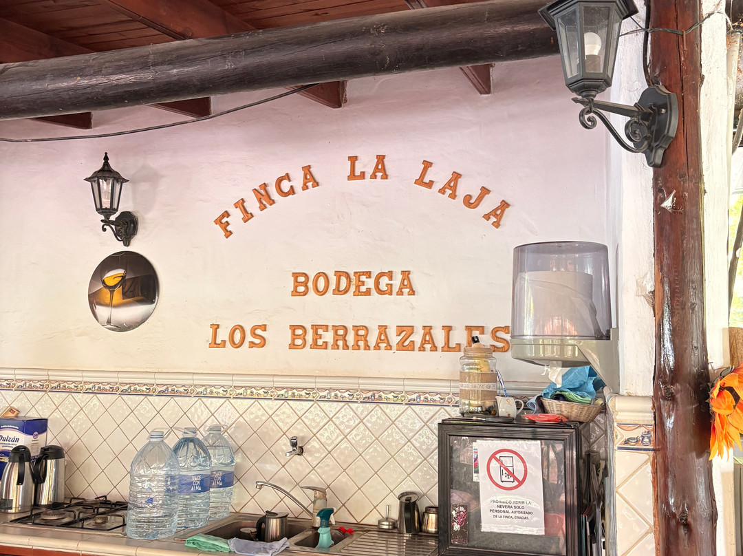 Bodega Los Berrazales-Agaete必去景点
