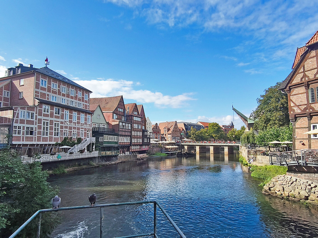 Stintmarkt im Lüneburger Hafen-吕讷堡必去景点