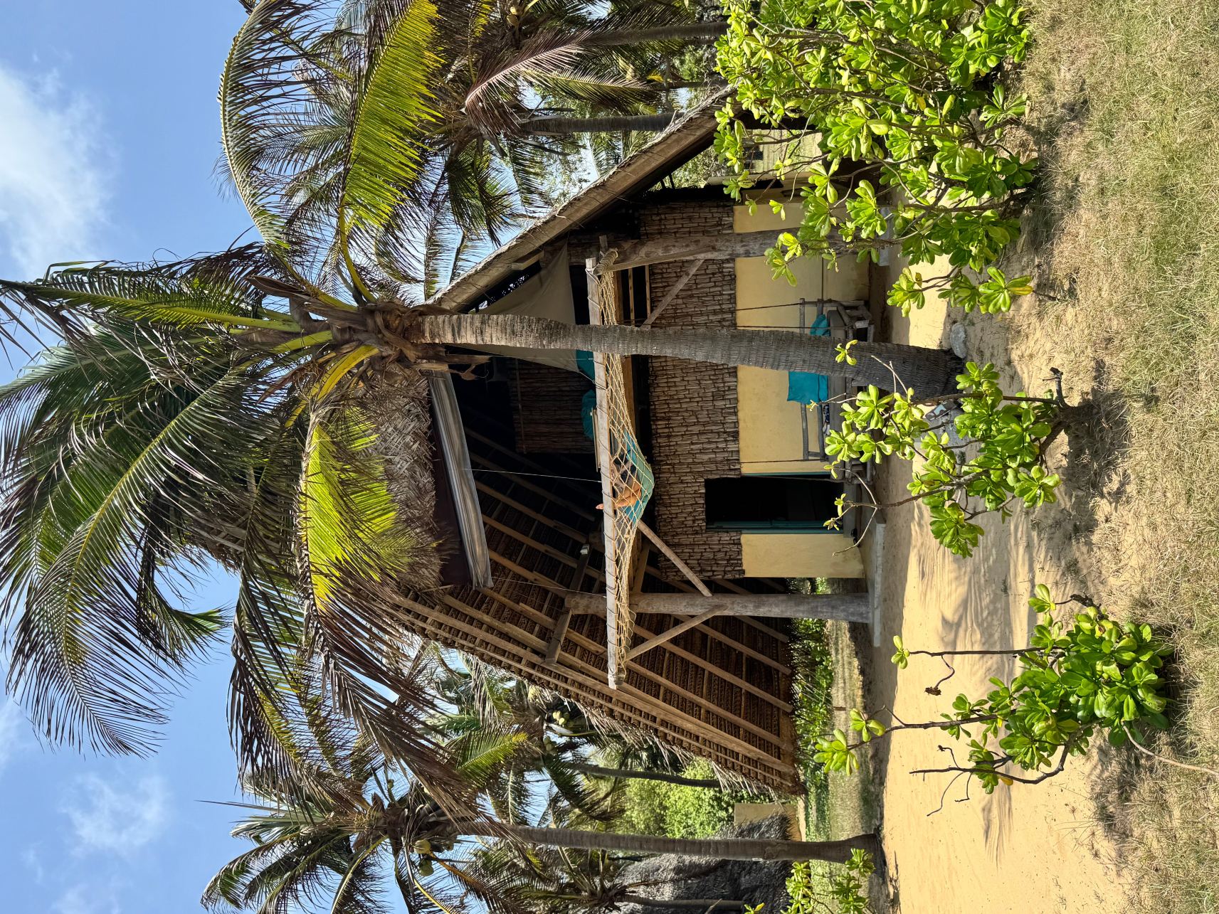 元素海滩和大自然度假村-旅行者