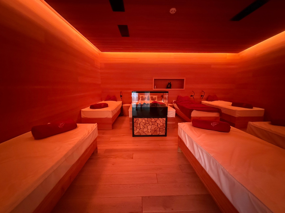 Erica - Wellness & Vitalhotel主图