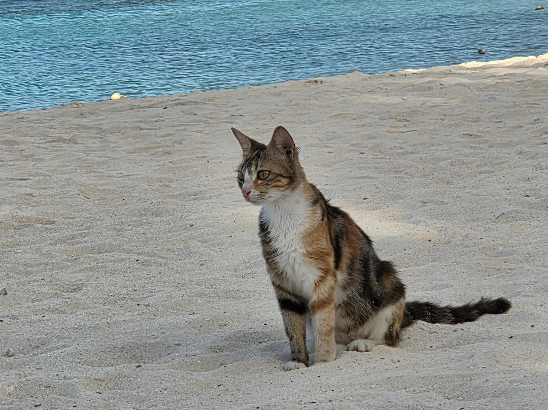 Gulhi Beach-Gulhi Island必去景点