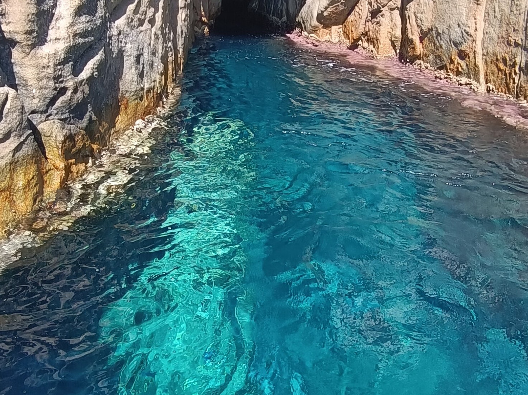 Max Shark Diving-Isola del Giglio必去景点