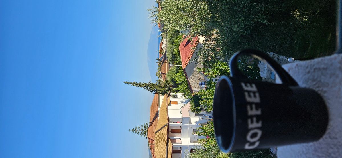 Potamitis Studios-旅行者