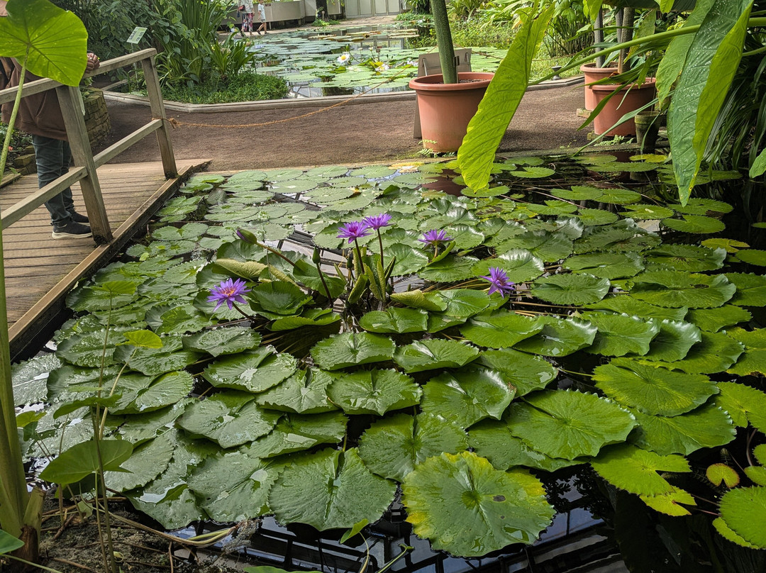 Poppelsdorf Palace-波恩必去景点