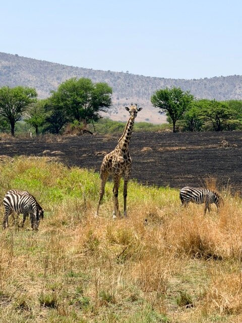 Tanzania Roadside Expeditions-阿鲁沙必去景点