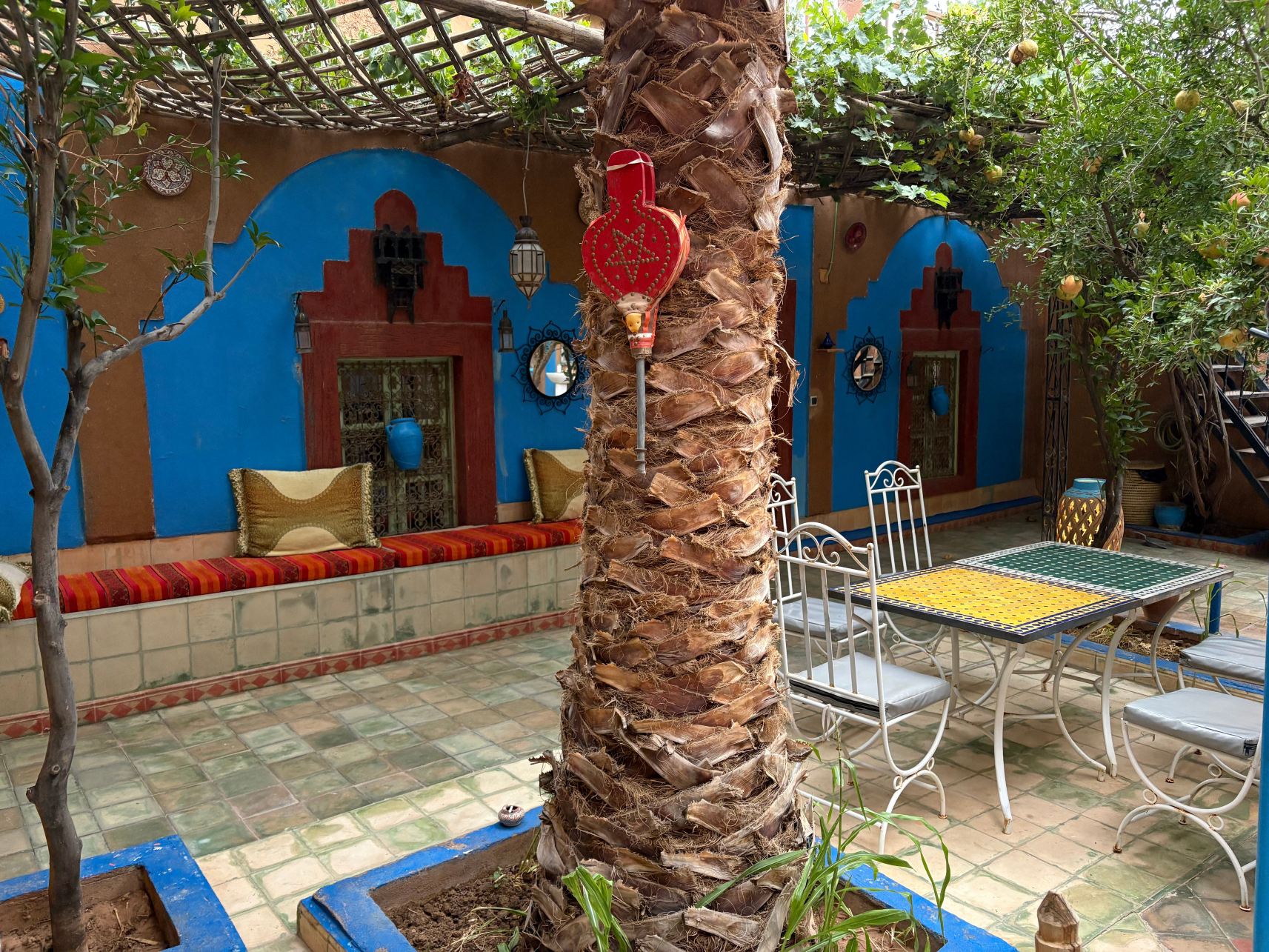 Riad Dades Birds-旅行者