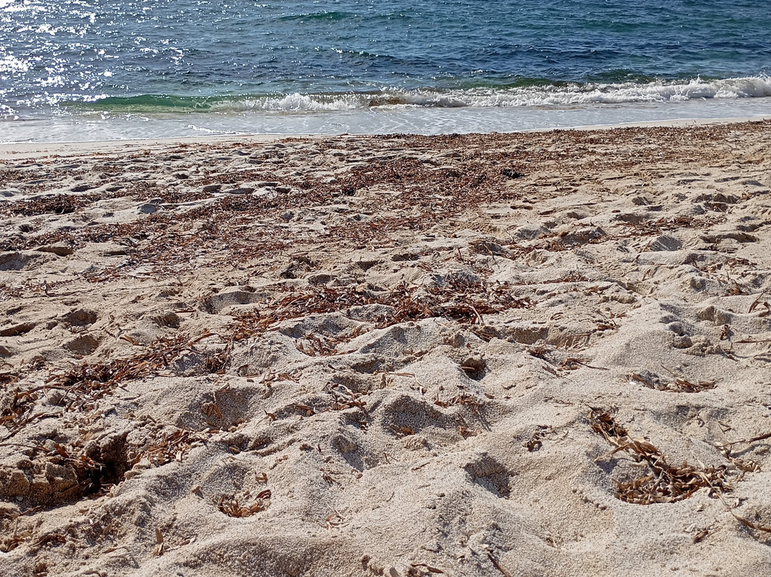 Spiaggia di Maimoni-San Giovanni di Sinis必去景点