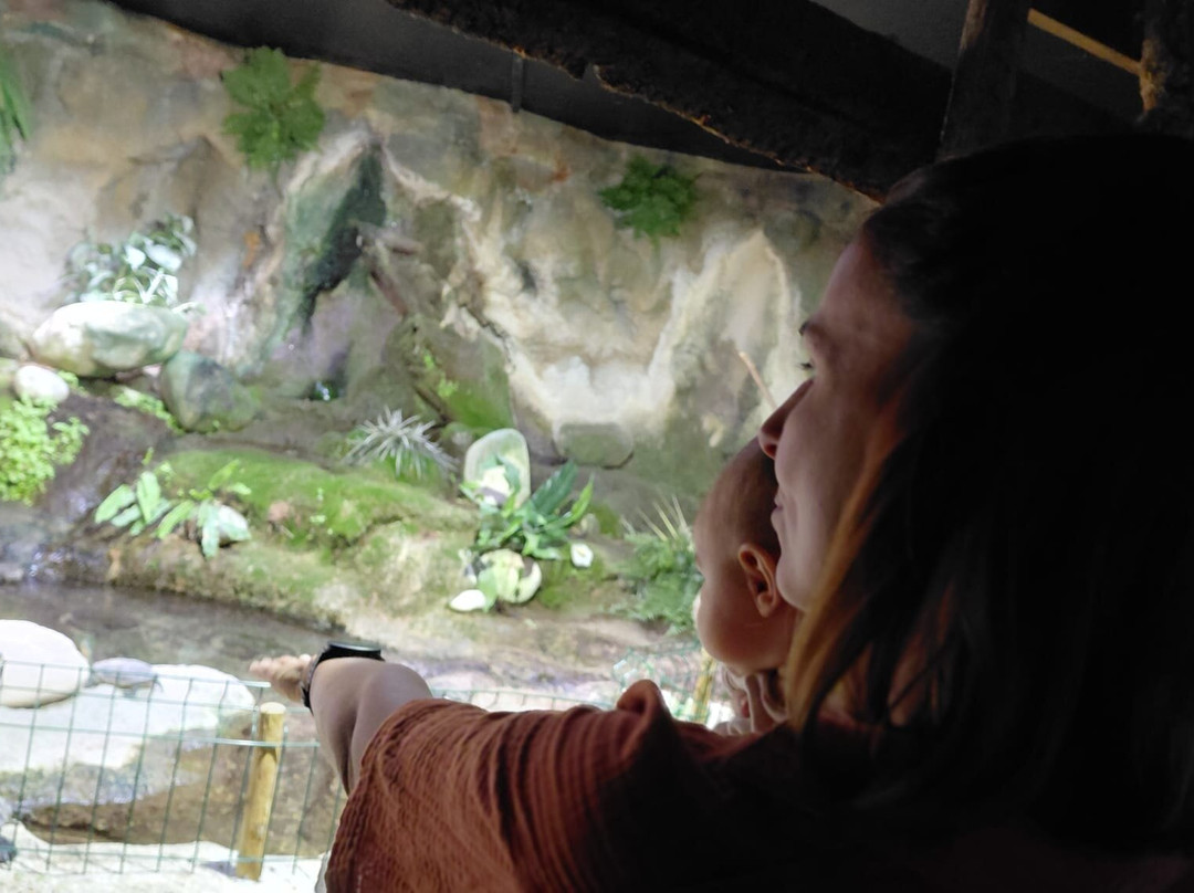 Aquarium De Touraine-Lussault-sur-Loire必去景点