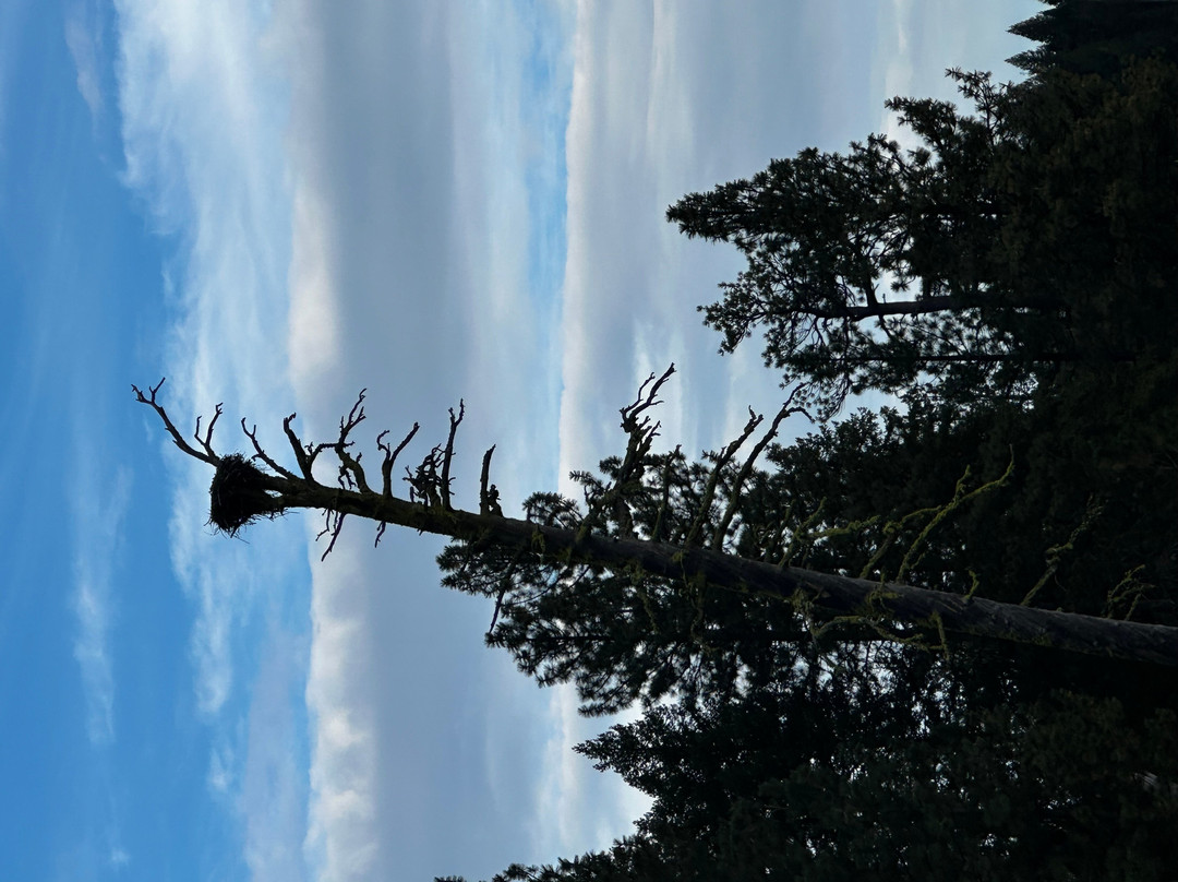 McCall Lake Cruises-McCall必去景点