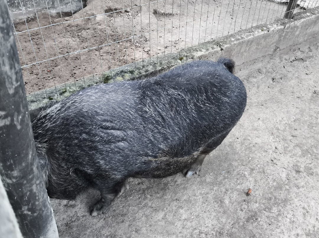 春天角落旅馆主图