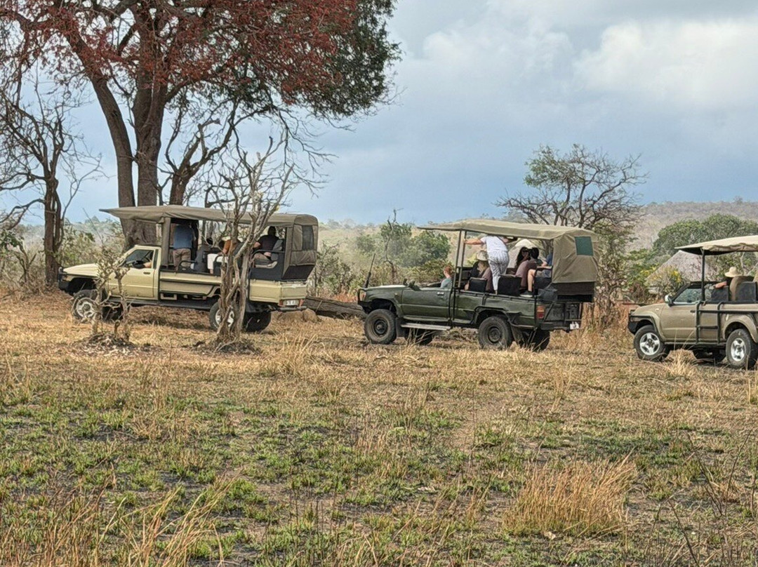 Mikumi National Park-米库米国家公园必去景点