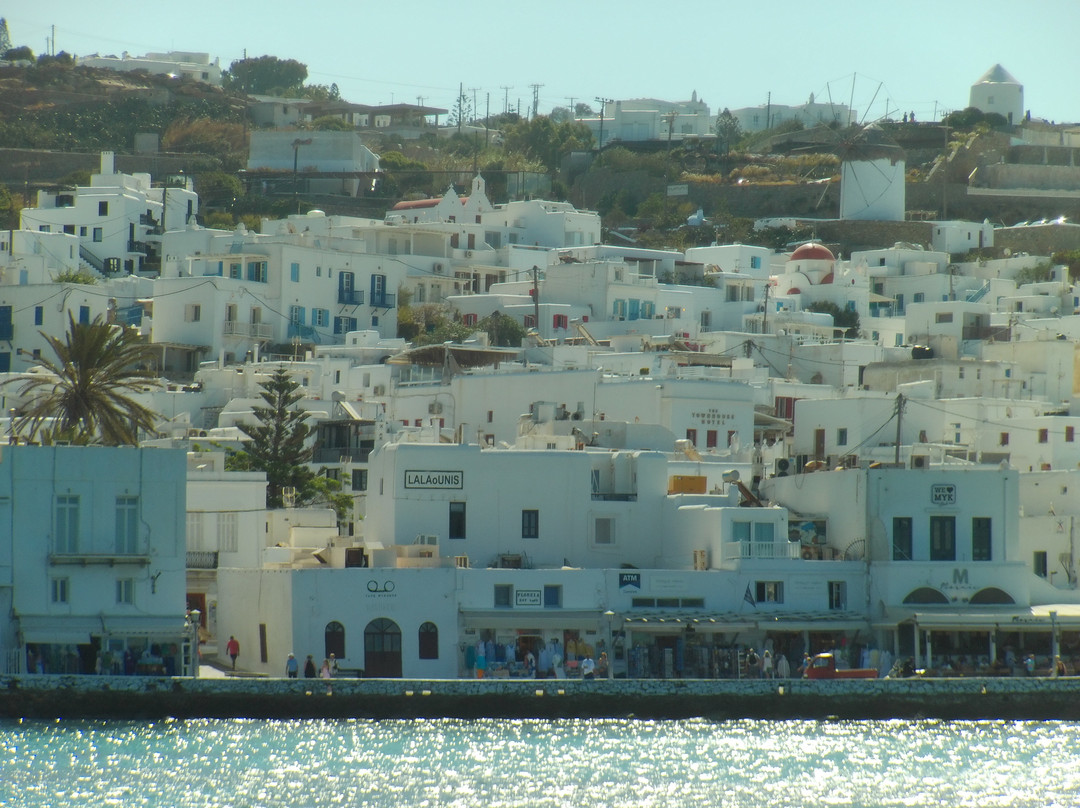 Mykonos Old Port-米克诺斯镇必去景点