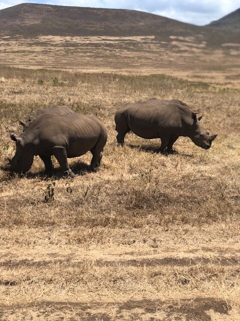 Unlimited Expeditions - The Soul Of Tanzania-阿鲁沙必去景点