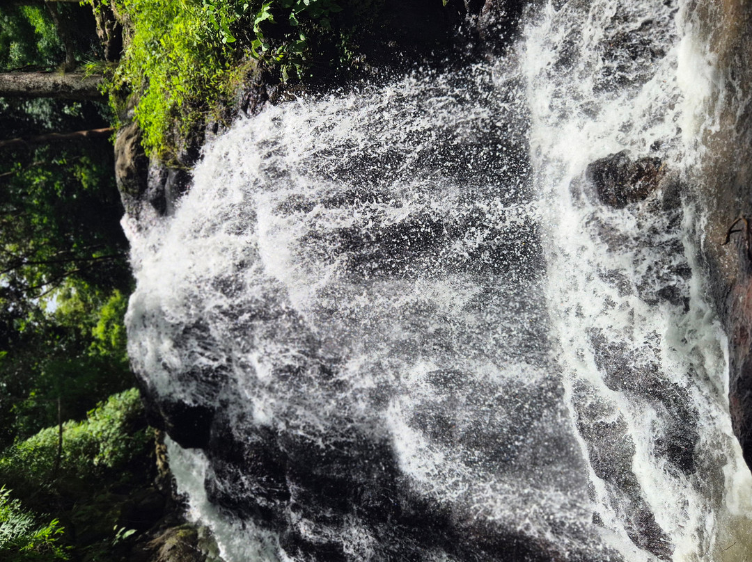 La Piedra Del Indio Waterfalls-Tilaran必去景点