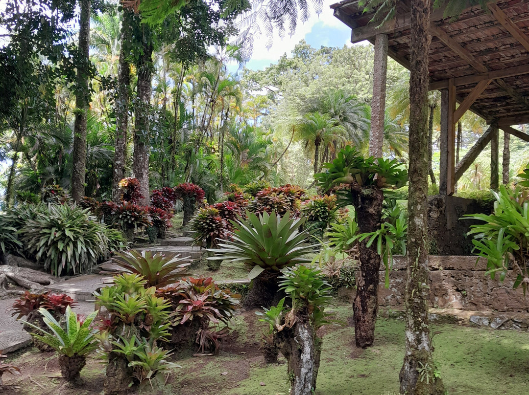 Jardin de Balata-法兰西堡必去景点