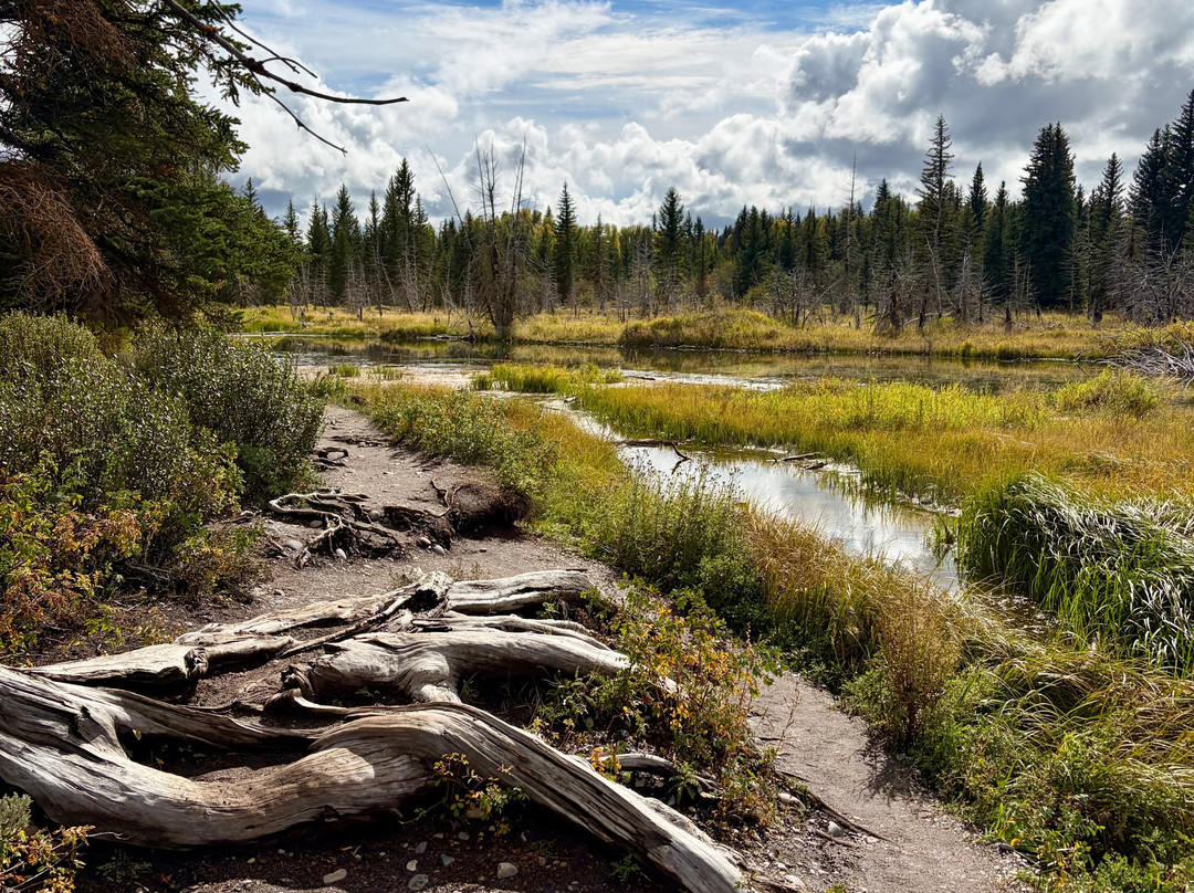 Schwabacher Landing-大提顿国家公园必去景点