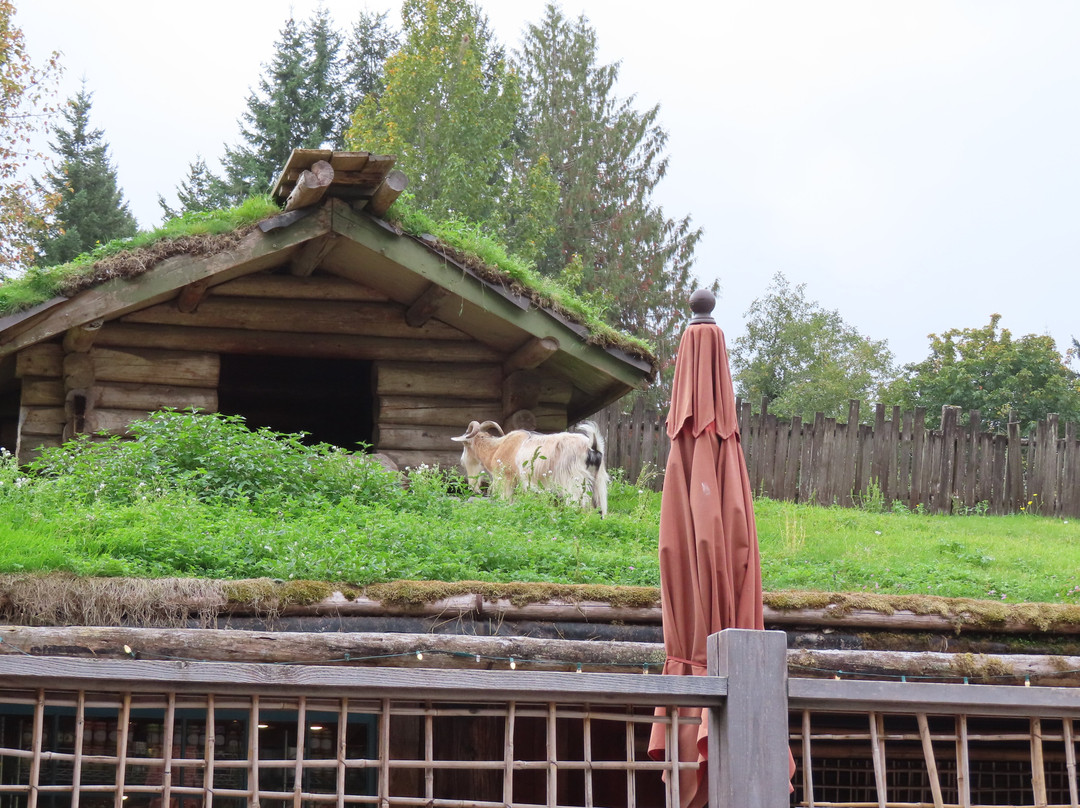 Old Country Market - Goats on Roof-Coombs必去景点
