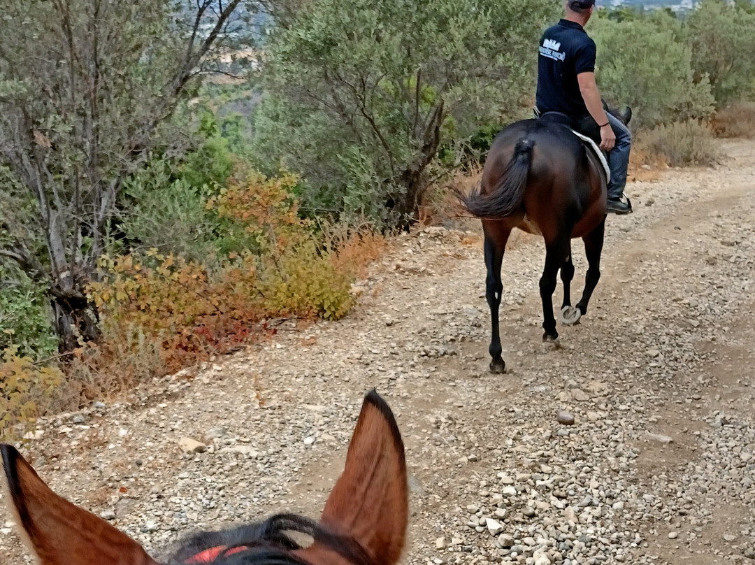 Paradise Ranch Kos Mountain Horse Riding-Asfendiou必去景点