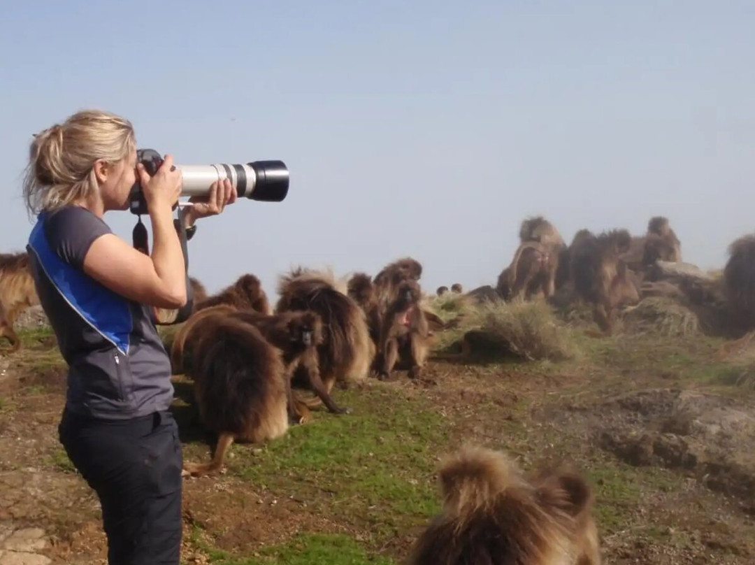 Simien Mountain Tours