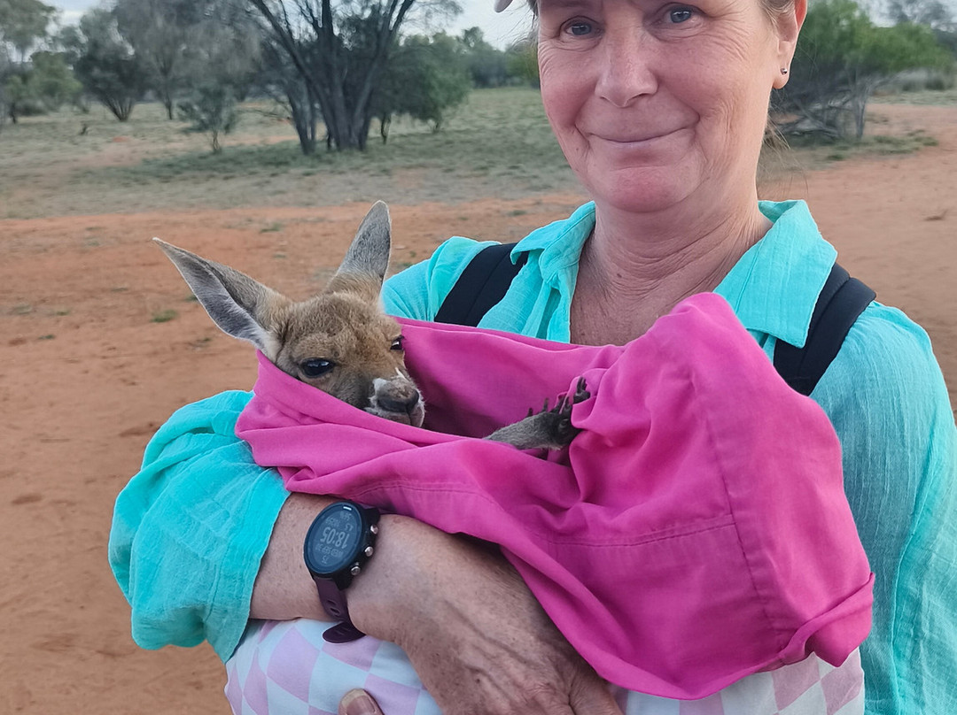 The Kangaroo Sanctuary-爱丽斯泉必去景点