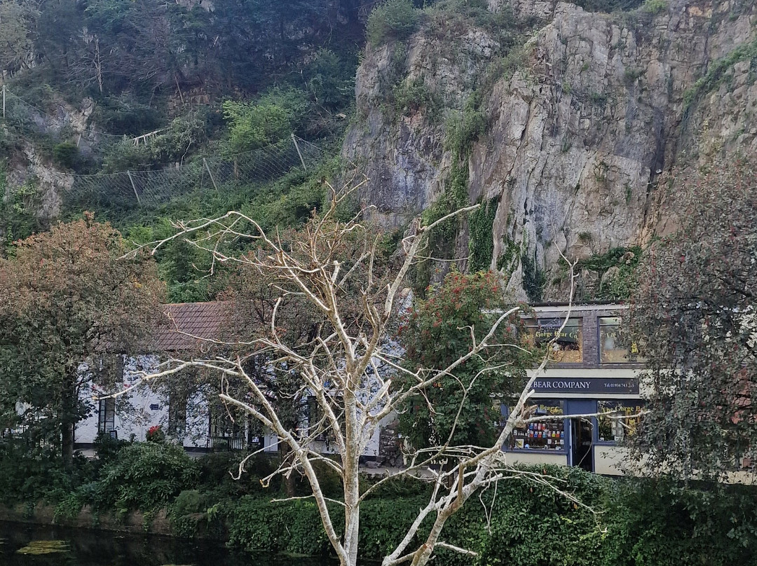 Cheddar Gorge & Caves-Cheddar必去景点