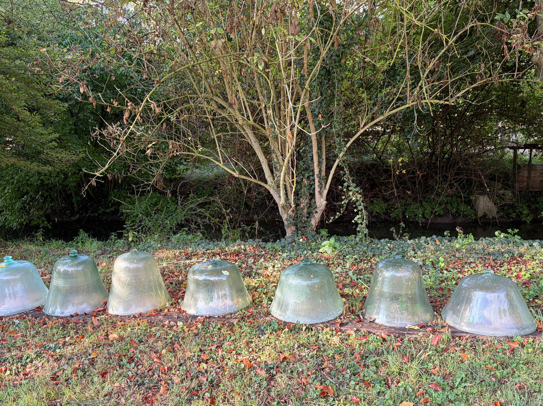 Domaine de Primard - Fontenille Collection主图