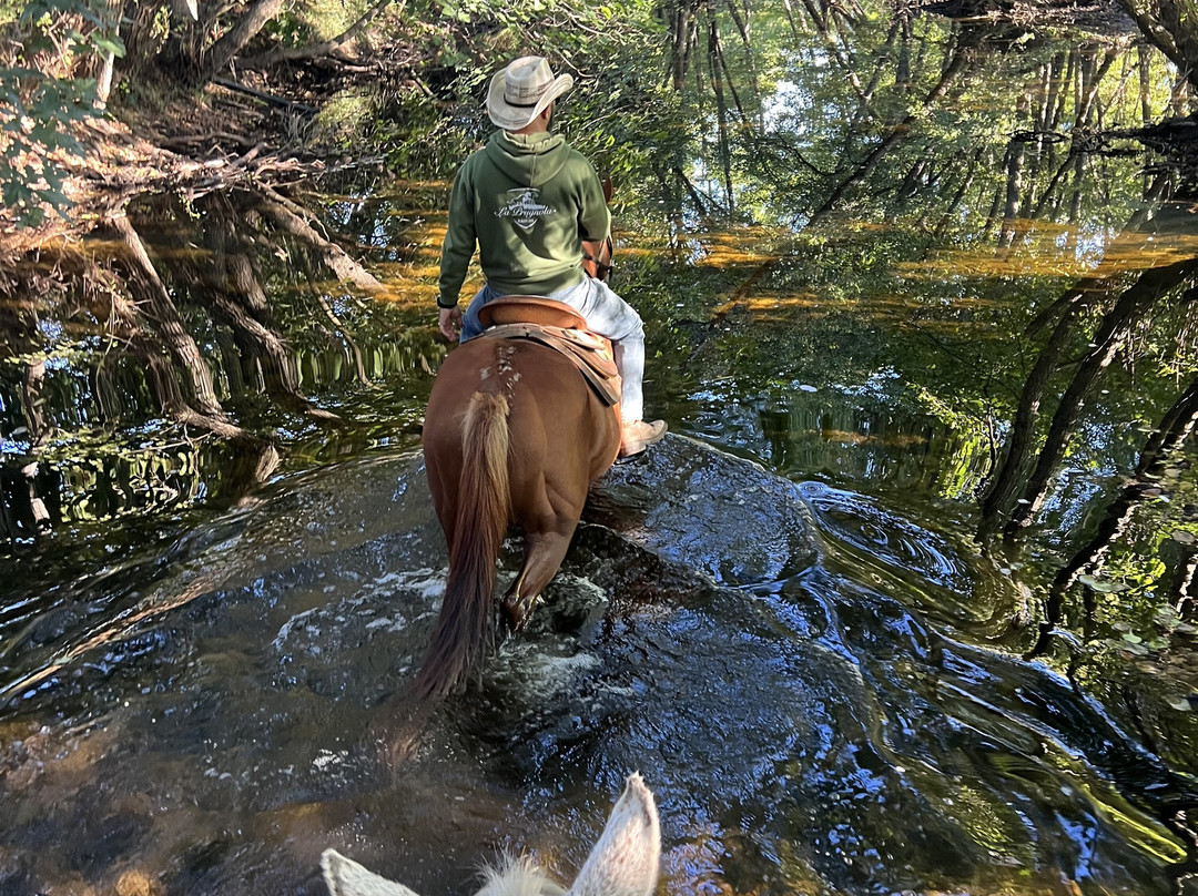 Centro Equestre La Prugnola-Arzachena必去景点