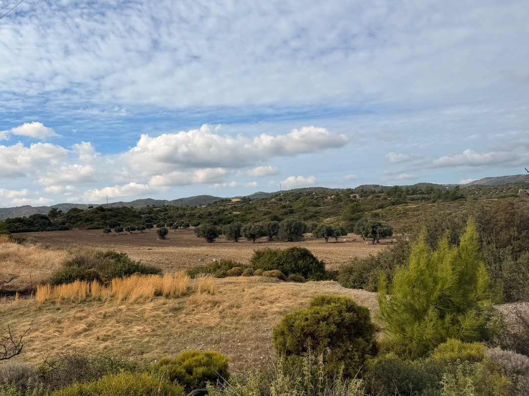 Rhodes Buggy Safari....more than an adventure-科林比亚必去景点