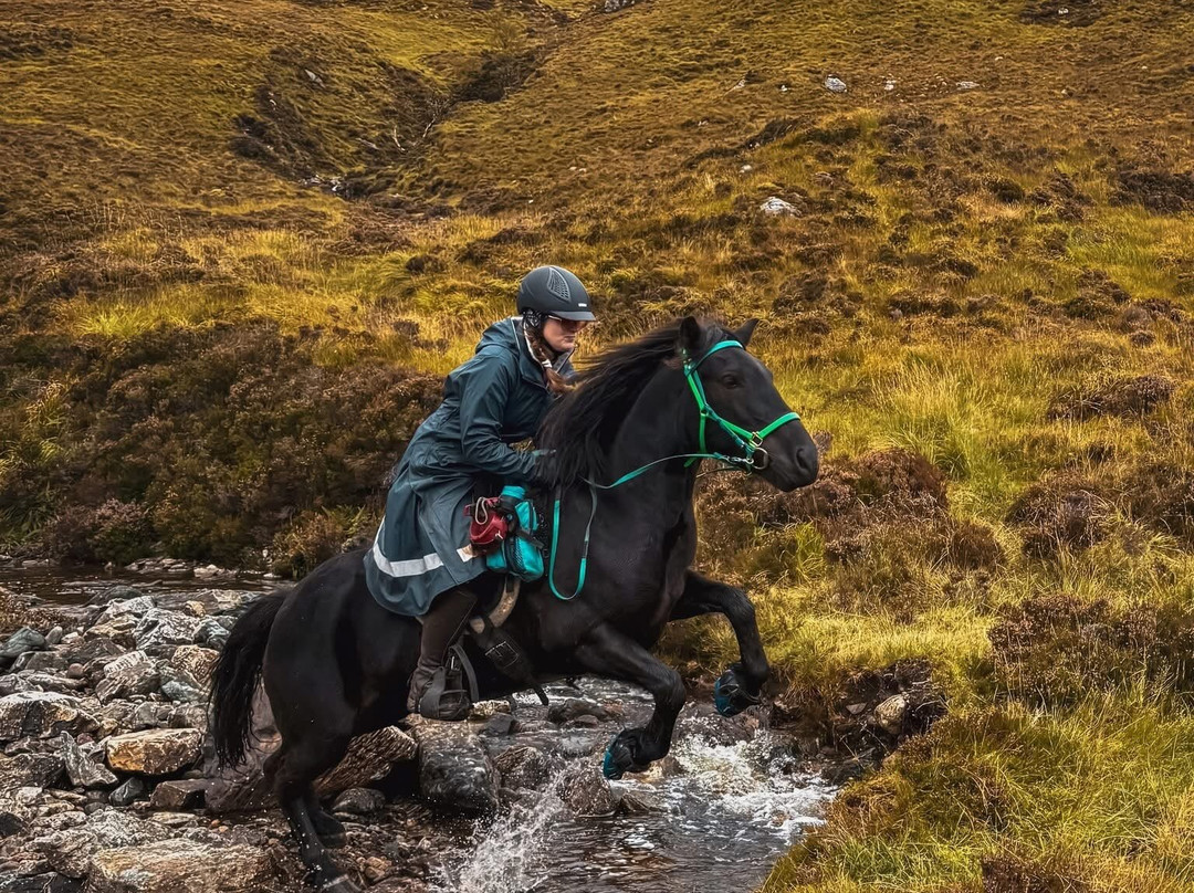 Highlands Unbridled Trail Riding & Trekking Centre-Aboyne必去景点