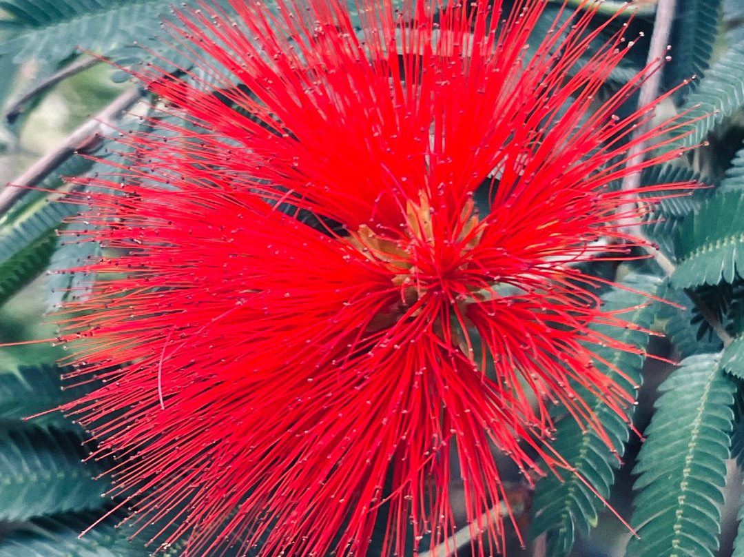 Botanical Garden Of Crete-Fournes必去景点