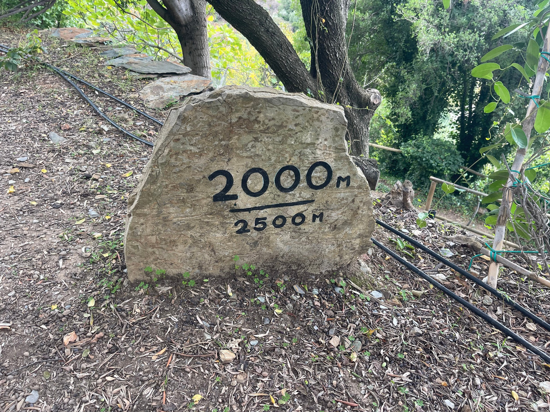 Botanical Garden Of Crete-Fournes必去景点