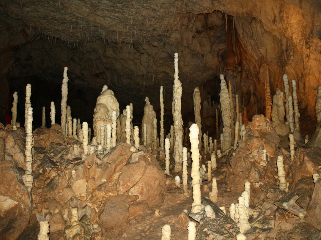 Bears' Cave景点图片