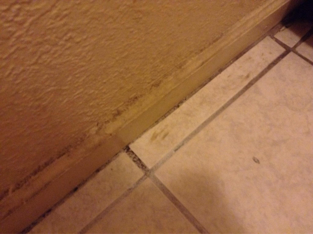 Budget Lodge of Mount Dora