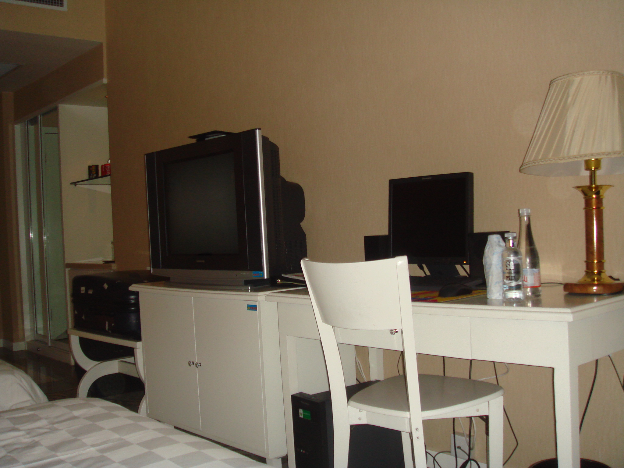 金悦大酒店-客卧