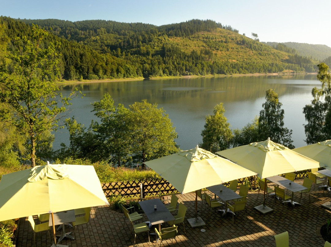 Langelsheim酒店住宿-Hotel Berghof am See
